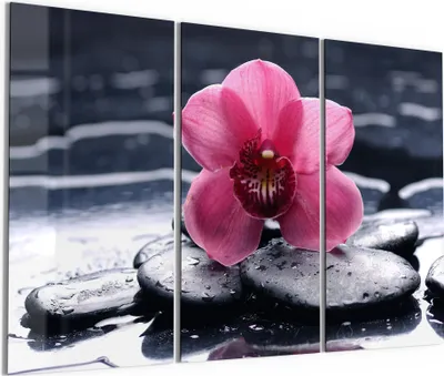 Produktbild von DEQORI Glasbild Echtglas 3x50x100 cm 'Zen-Blütenpracht' Wandbilder XXL groß