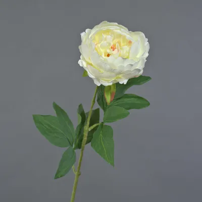 Produktbild von artplants.de Deko Pfingstrose TALFY, Creme, 65cm - Kunst Pfingstrose