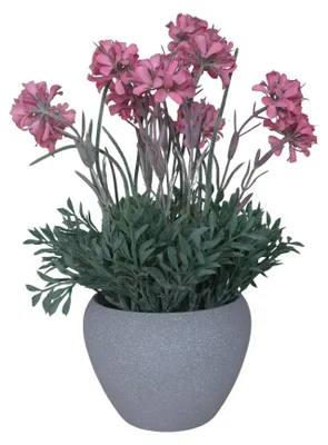 Produktbild von Künstliche Nachtviole im Keramiktopf, Kunstpflanze wie echt, dekorative Blumendeko im Topf, Frühlingsdeko & Sommerdeko Innen & Außen Rosa