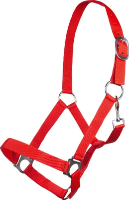 Obrázok produktu pre HKM uzda - Brisbane -, červená, pre teplokrvné kone