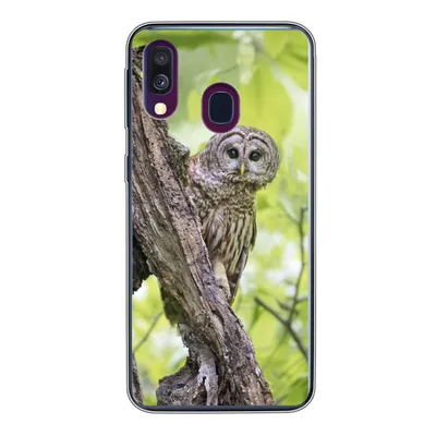 Produktbild von MuchoWow® Handyhülle Schutzhülle Hülle für Samsung Galaxy A40 Eule - Wald - Licht Silikon Softcase Handy Hülle - Handy-Tasche