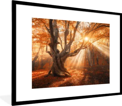 Produktbild von MuchoWow® Gerahmtes Poster Baum - Natur - Herbst 80x60 cm - Poster mit Schwarzem Bilderrahmen Wandposter Rahmen Foto Bilder - Schlafzimmer-Dekorationen - Fotoposter