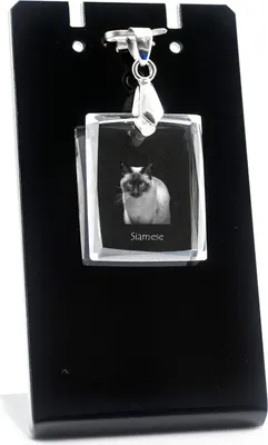 Produktbild von Siam - Crystal cat pendant, photo necklace, unique jewellery by Art-Dog
