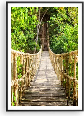 Produktbild von Gerahmtes Poster - Schwarzer Rahmen - Brücke Seil Dschungel - 70x100 cm - Wand Bild - Wanddeko - Wandbilder - Wandposter - Bilderrahmen - Bilder - Kunstdruck - Wandbild - P2BPA70x100-4319