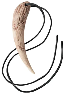 Produktbild von Drachenzahn Trophäe (18 cm) mit Lederriemen