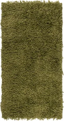 Image de Tapis shaggy vert 60x110