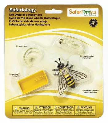 Produktbild von Safari Ltd Lebenszyklus Einer Honigbiene Mehrfarbig From 3 Years Kinder Mehrfarbig From 3 Years