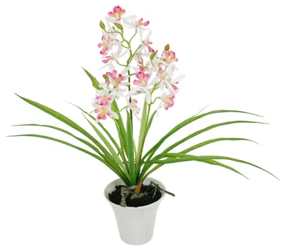 Productafbeelding van Kunstbloem Orchidee, 40 cm, met bladeren en luchtwortels in pot. Kunstplant
