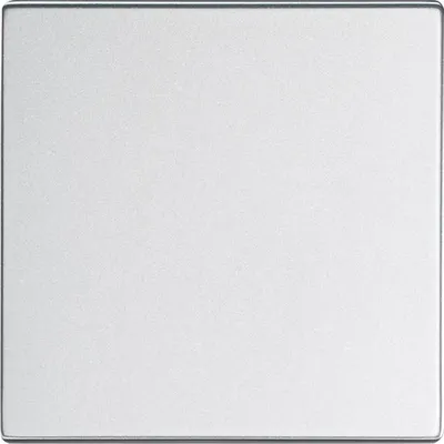 Image de Bush-Jaeger Bascule, divers programmes de surfaces, argent alu, 1 pièce.