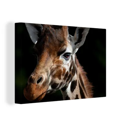 Zdjęcie produktu dla OneMillionCanvasses® - Obrazy na płótnie - 150x100 cm, Giraffe - Light - Black, grafika ścienna, dekoracja ścienna