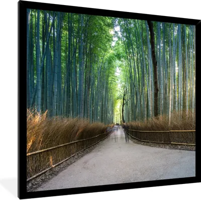 Produktbild von MuchoWow® Gerahmtes Poster Sonnenaufgang im Arashiyama-Bambuswald in Kyoto 40x40 cm - Poster mit Schwarzem Bilderrahmen Wandposter Rahmen Foto Bilder - Mit Rahmen - Wanddekoration Schlafzimmer