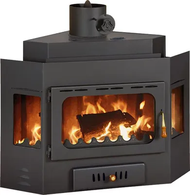 A black metal fireplace insert with a fire burning inside.