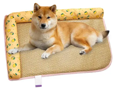 Produktbild von Kühlkissen für Hunde und Katzen, atmungsaktiv