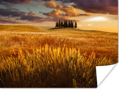 Produktbild von MuchoWow® Poster Toskana - Italien - Landschaft 120x90 cm - Wandbild