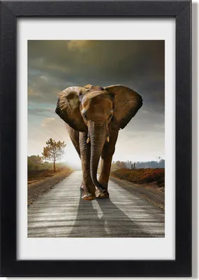 Produktbild von Bild 20x30 MDF-Rahmen, Wandkunst Schlendernder Elefant