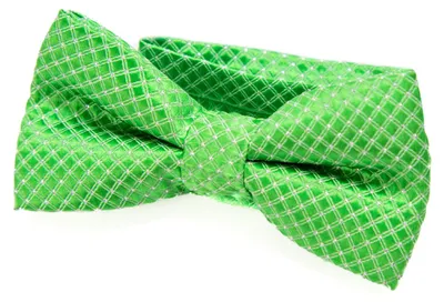 Produktbild von DonDon Edle Kinder Jungen Fliege gebunden und längenverstellbar 9 x 4,5 cm hellgrün glänzend mit silbernen Punkten