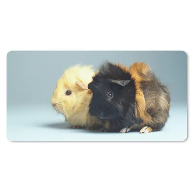 Produktbild von MuchoWow® Mauspad Mousepad Zwei kleine Meerschweinchen 60x30 cm - Mousepads - Maus Mat - Pad - Mausunterlage - Nachhaltig