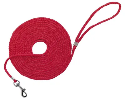 Productafbeelding van Zoeklijn voor honden van nylon, 5 m lang en 5 mm dik