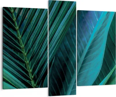 Produktbild von Bild auf Leinwand - Leinwandbild - 3 Teile - Blatt Tropen Grün - 95x80cm - Wand Bild - Wanddeko - Wandbilder - Leinwanddruck - Bilder - Wanddekoration - Leinwand bilder - Wandbild - CB95x80-5071