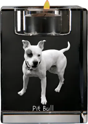 Imagen del producto de Art-Dog Portavelas para vela de té – Pit Bull