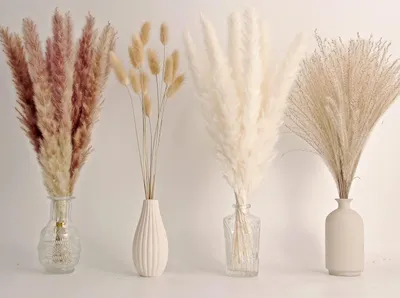 Produktbild von Pampasgras Dekoration 65 Stück - Natürlich Getrocknetes Schilfrohr - Kaninchenbaumgras - Boho Blumen - Umweltfreundlich - Perfekt für Hochzeiten - Getrocknete Blumen