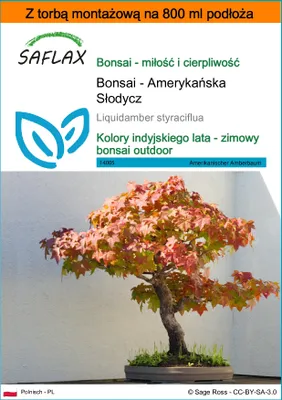 Zdjęcie produktu dla SAFLAX - Garden in the bag - Bonsai - Amerykańska Słodycz - 100 Nasiona - Z podłożem uprawowym w praktycznej, samorozkładającej się torbie - Liquidamber styraciflua