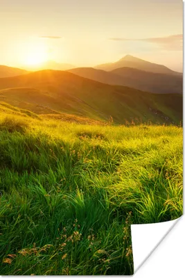 Produktbild von MuchoWow® Poster Gras - Hügel - Sonne - Natur - Landschaft 40x60 cm - Plakate für die Wand - Poster Babyzimmer