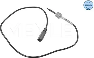 Image de Capteur, Abgastemperatur