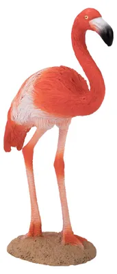 Produktbild von Mojo Fun American Flamingo, 3 Jahr(e), Wildlife, Pink, Rot, Braun, Polyvinylchlorid (PVC)