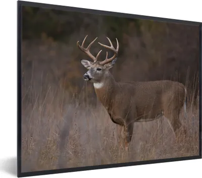Produktbild von MuchoWow® Gerahmtes Poster Herbst - Hirsche - Gras - Natur - Tiere 40x30 cm - Poster mit Schwarzem Bilderrahmen Wandposter Rahmen Foto Bilder - Kunstposter - Wanddekorationen