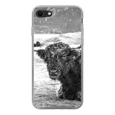 Produktbild von MuchoWow® Handyhülle Schutzhülle Hülle für iPhone SE 2020 Schottischer Highlander - Berg - Tiere Silikon Softcase Handy Hülle - Kartenbesitzer