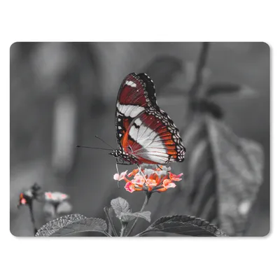 Produktbild von MuchoWow® Mauspad Mousepad Schmetterling - Tiere - Blumen - Schwarz und weiß - Orange 23x19 cm - Mousepads - Maus Mat - Pad - Mausunterlage - Schreibtischunterlage - Mauspad