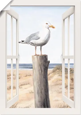 Produktbild von ARTland Poster Möwe Fensterblick Größe: 50x70 cm