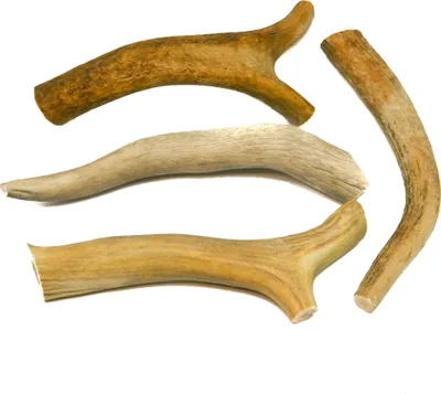 Obrázok produktu pre RF-Deer 1 kg (10-20 cm/7-12 kusov) prírodné jelenie parohy, jedinečná dekorácia, perfektná hračka pre psov, žuvacia hračka pre psov, aukcia obsahuje