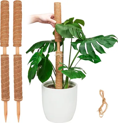 Zdjęcie produktu dla Moss Stick dla Roślin, Wysuwane Wsparcia dla Roślin, 15.7 Inch, 4 Sztuki, dla Roślin Pnących