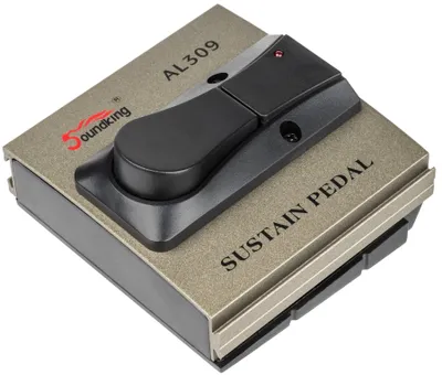 Imagen del producto de Pedal de sustain Soundking AL309