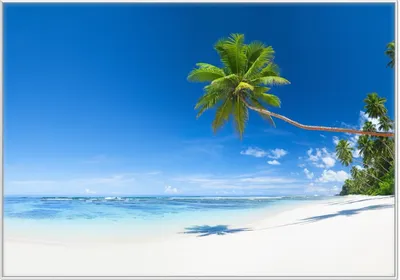 Produktbild von Wallario Wandbild Weißer Sandstrand am Meer - Ein Traum unter Palmen, Größe: 70,30 x 100,30 cm, Poster mit weißem Kunststoffrahmen