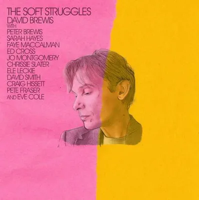 Obrázek produktu pro The Soft Struggles