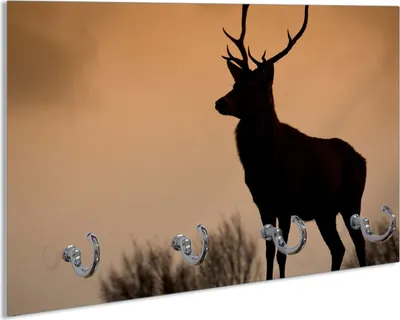 Produktbild von Wallario Schlüsselbrett aus Glas, Motiv: Rothirsch am Abend, 30 x 20 cm mit 4 Haken
