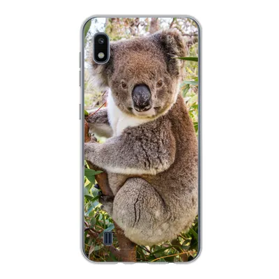 Produktbild von MuchoWow® Handyhülle Schutzhülle Hülle für Samsung Galaxy A10 Koala - Baum - Blätter - Kinder - Jungen - Mädchen Silikon Softcase Handy Hülle - Schutzhülle