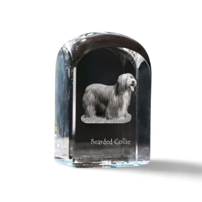 Image de Bearded collie - cube en cristal avec photo, photo du chien dans le cristal, bouton cubique sur papier de la marque Art-Dog
