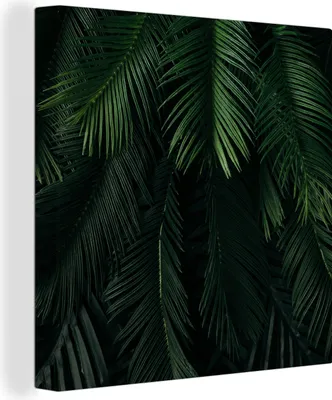 Produktbild von MuchoWow® - Leinwandbilder - Blätter - Tropisch - Muster - Jungen - Mädchen - Kinder - Kind, Wandbild, Wanddeko Bilder Wohnzimmer, 90x90cm