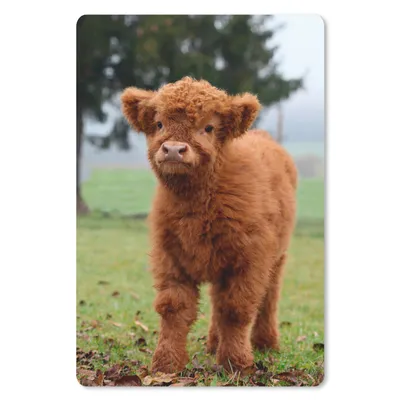 Produktbild von MuchoWow® Mauspad Mousepad Scottish Highlander - Kalb - Gras 18x27 cm - Mousepads - Maus Mat - Pad - Mausunterlage