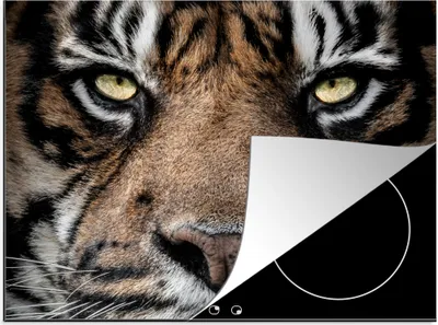 Produktbild von KitchenYeah© Herdabdeckplatte Porträt-Tiger auf schwarzem Hintergrund , 70x52cm, Küche Deko, Glaskeramikkochfeld Herdabdeckung, Abdeckplatte fùr Kochfeld