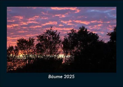 Produktbild von Bäume 2025 Fotokalender DIN A5