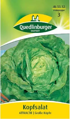 Produktbild von Quedlinburger Saatgut - Kopfsalat Attractie - Samen - 465512
