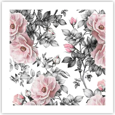 Produktbild von Poster - Poster ohne Rahmen - Blumen Blätter Pflanze Rose - 50x50 cm - Wand Bild - Wanddeko - Wandbilder - Kunstposter - Wandposter - Bilder - Kunstdruck - Wanddekoration - Wandbild - P2XAC50x50-2952