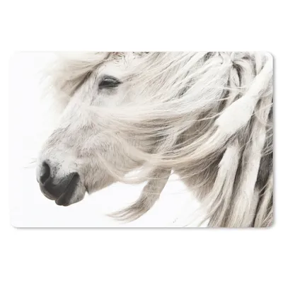 Produktbild von MuchoWow® Schreibtischunterlage Pferd - Grau - Weiß 60x40 cm - XXL Mauspad - Großes Mauspad