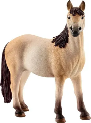 Immagine prodotto di Schleich 13806 Cavallo Club Mustang cavalla