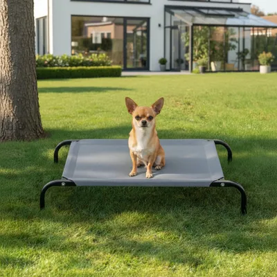 Produktbild von belviona Hundeliege erhöht, wetterfestes Outdoor-Hundebett mit stabilem Metallrahmen, atmungsaktiv & pflegeleicht, 75x47 cm, grau
